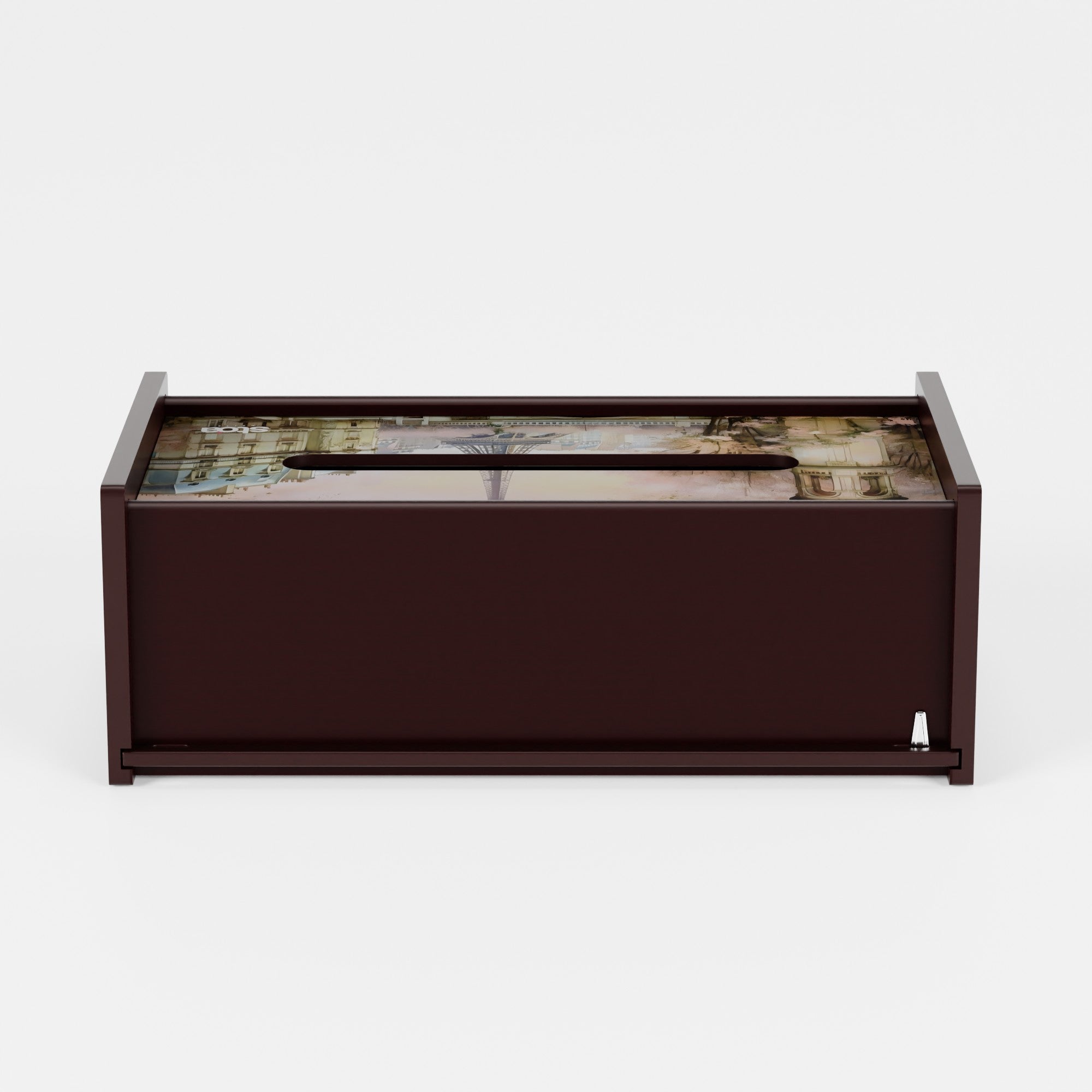 Paris in Cherry Blossom Tissue Box