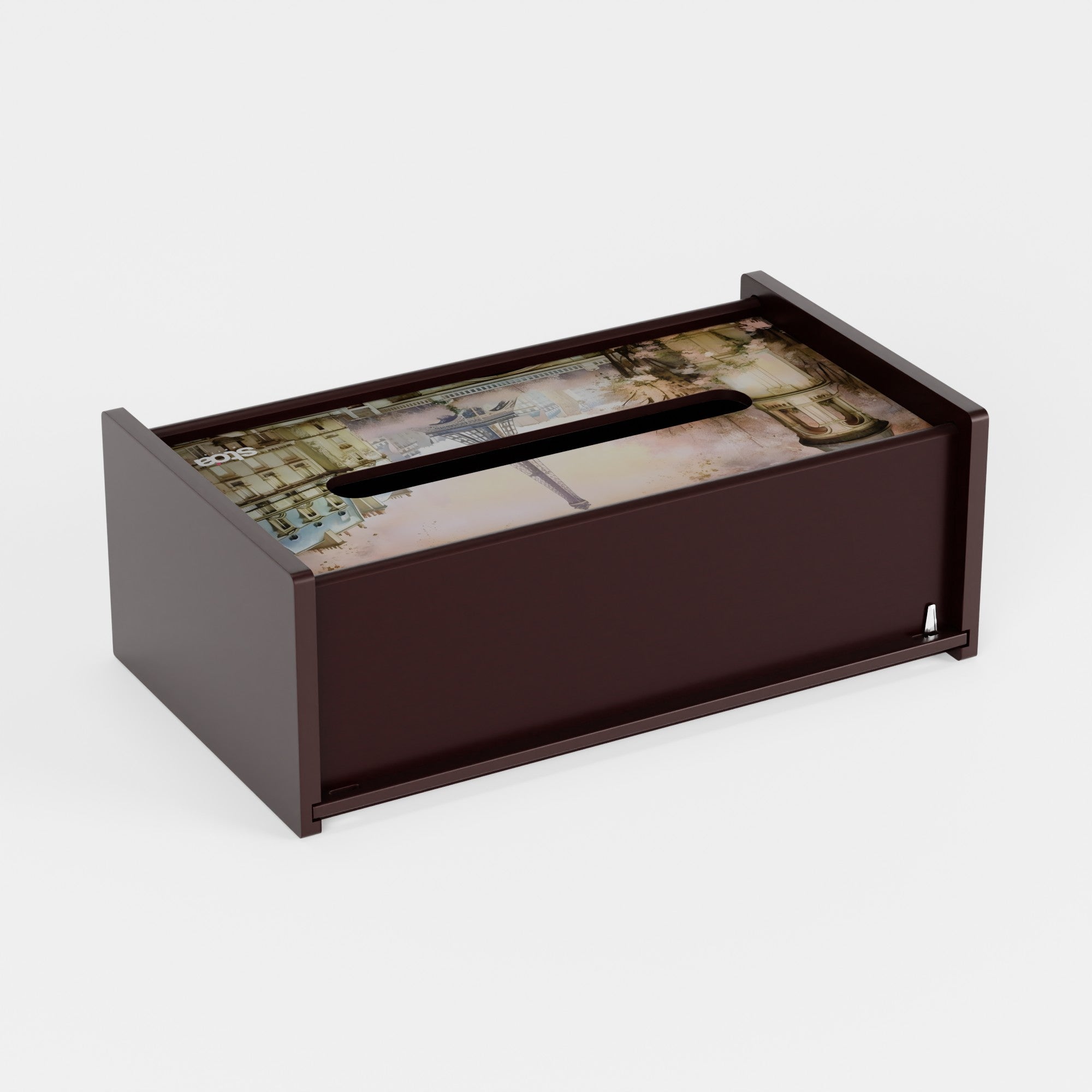 Paris in Cherry Blossom Tissue Box