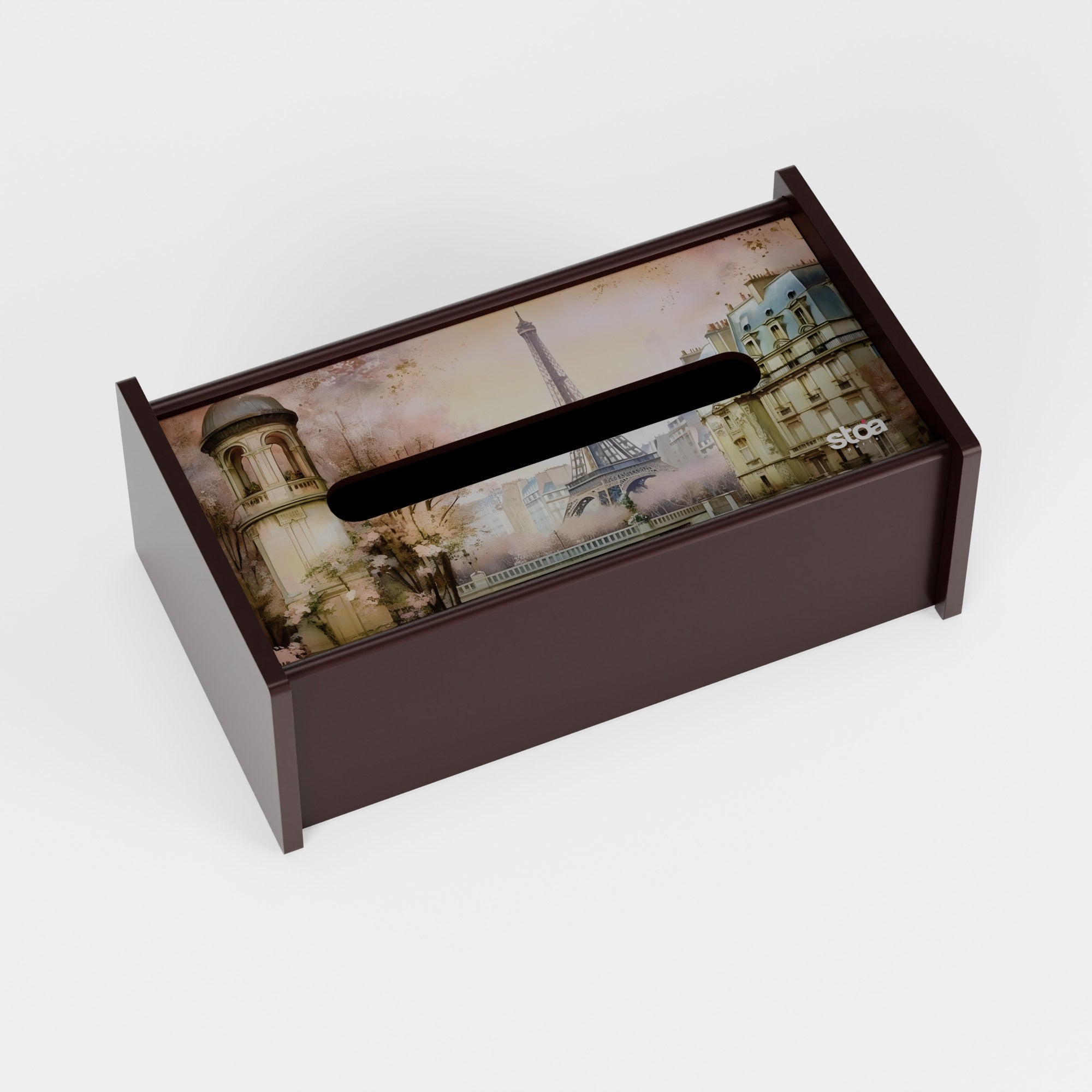 Paris in Cherry Blossom Tissue Box