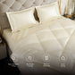 Charming Ivory Comforter