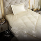 Charming Ivory Comforter