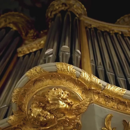 Paparazzi Chase Bedsheet Set