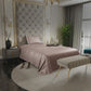 Champagne Flat Bedsheet Set