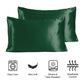 Stoa Paris Ultra Sateen Set of 2 Green Pillow Cover From SilkLike Collection